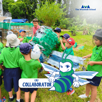 Personal Learning Goal: A Collaborator